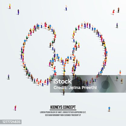 https tr vector me browse 387543 kidney reins