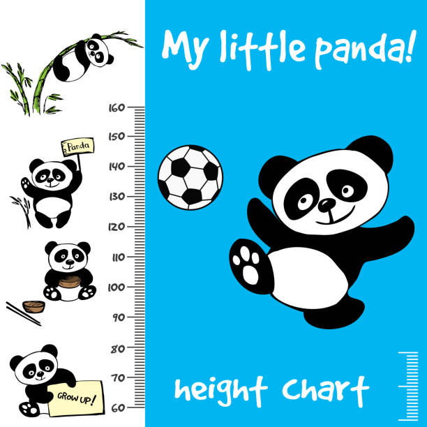 illustrations, cliparts, dessins animés et icônes de tableau de hauteur des enfants. panda dessiné main - panda foot