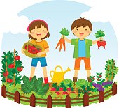 two kids picking vegetables in a vegetable garden
