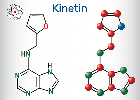 n6 furfuriladenină kinetina anti-îmbătrânire crema cu colagen pentru fata