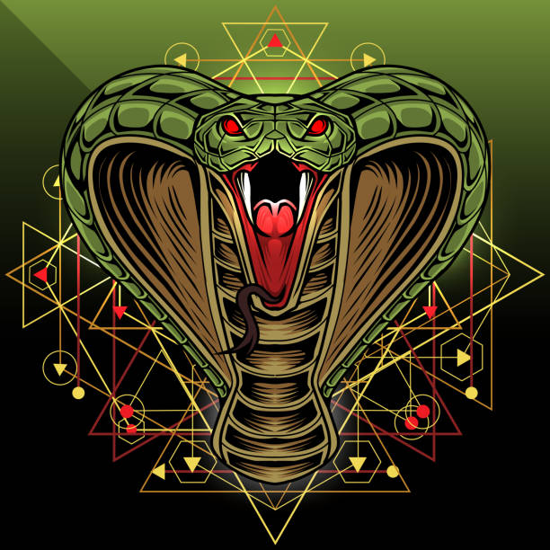 King Cobra head mascot logo design Illustration of  king Cobra head mascot logo design snake head stock illustrations