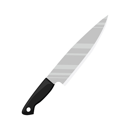 A kitchen knife with a black plastic handle. Kitchen equipment.