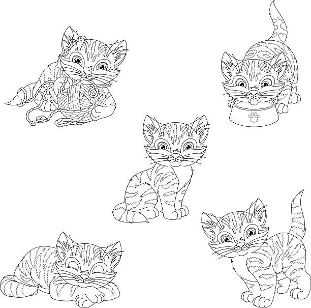 Download Best Cat Playing With Yarn Illustrations, Royalty-Free ...