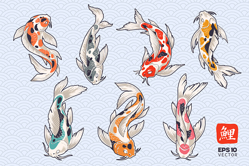 Vector set of tattoo koi fish on Japanese style pattern background. Different color oriental fish vector collection. Vector EPS10 graphic.