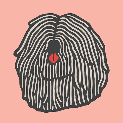 Komondor Dog Face