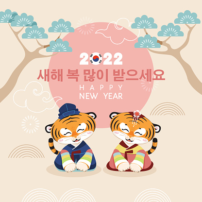Korean traditional holiday Seollal (New Year). Lunar New Year 2022 celebration banner vector design. Cute little tigers in traditional costumes, sunrise, pine tree. Korean translation: Happy New Year