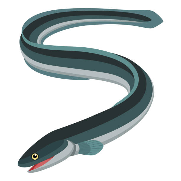 stockillustraties, clipart, cartoons en iconen met ål - paling