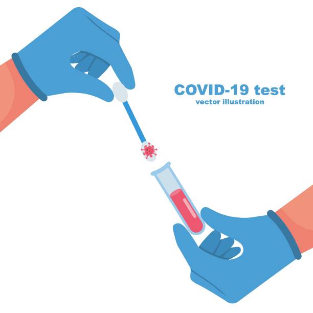 병원 실험실에서 covid-19 실험실 테스트. 의사는 손에 코 면봉을 들고있다. - 면봉 stock illustrations