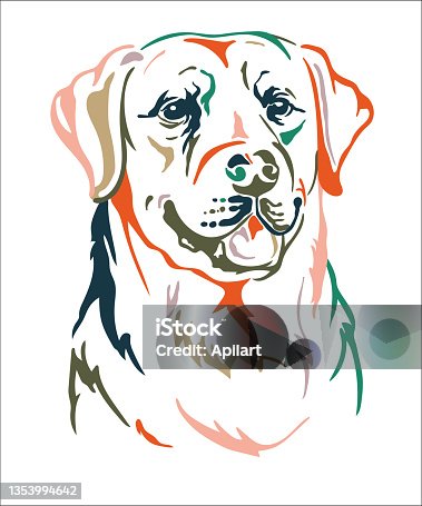 istock Labrador retriever dog vector color contour portrait vector 1353994642
