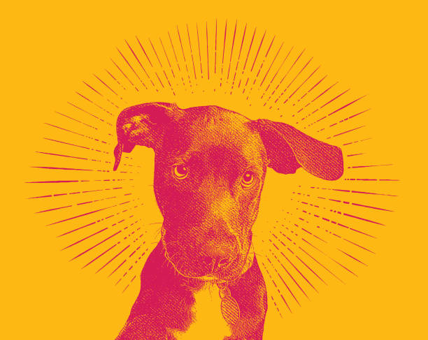 養子縁組を望む動物保護施設のラブラドールレトリバー子犬の彫刻イラスト