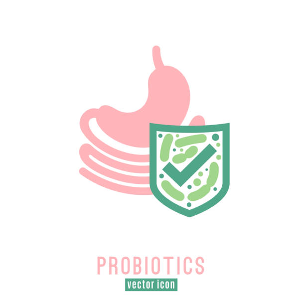 ilustrações de stock, clip art, desenhos animados e ícones de lactobacillus probiotics icon - alimentos sistema imunitário