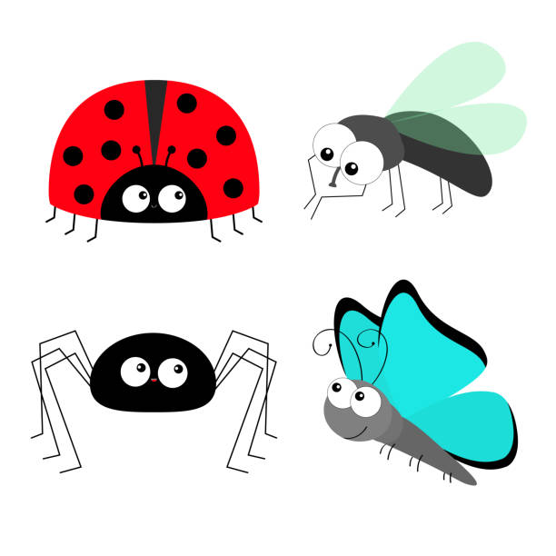 Lady bug ladybird Fly Housefly Spider Butterfly insect icon set. Baby kids collection. Colorful wings. Cute cartoon kawaii funny character. Smiling face. Flat design. White background. Housefly cleaning and polishing front paw legs. Fly flying insect icon. Baby kids collection. Colorful wings. Cute cartoon kawaii funny character. Smiling face. Flat design. White background. Vector fly insect stock illustrations