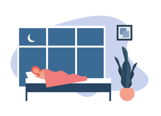 Lady sleeping in bed at home. Flat vector illustration Lady sleeping in bed at home. Woman in nightwear peacefully sleeping on comfortable bed under warm blanket near potted plant and large window at night in cozy bedroom at home bed furniture borders stock illustrations