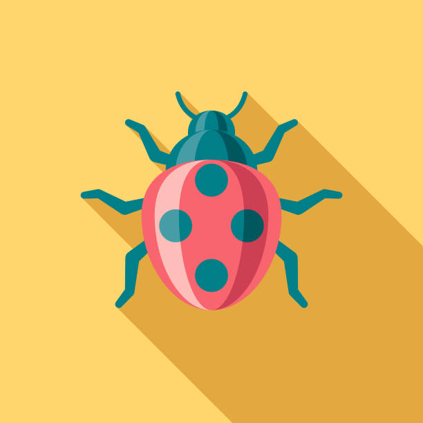 Ladybug Flat Design Easter Icon with Side Shadow  easter sunday stock illustrations