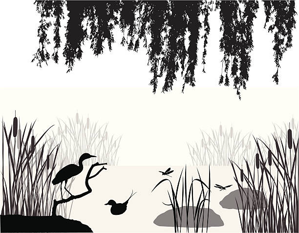Lagoon Vector Silhouette A-Digit heron family stock illustrations