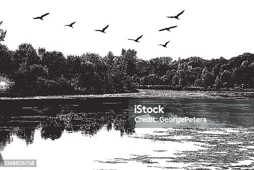 istock Lake with geese flying in V-Formation 1368826758