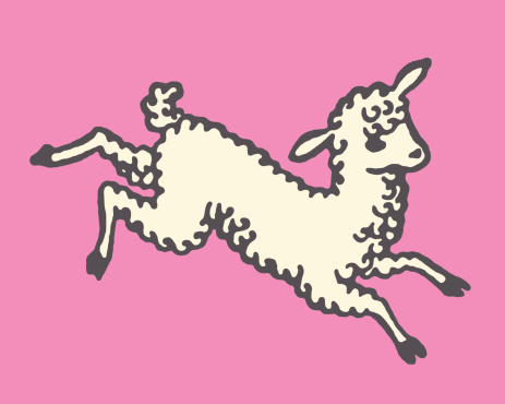 Lamb Jumping