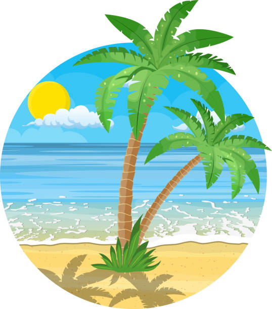 Palm Tree Beach Cartoon Illustrations, RoyaltyFree Vector