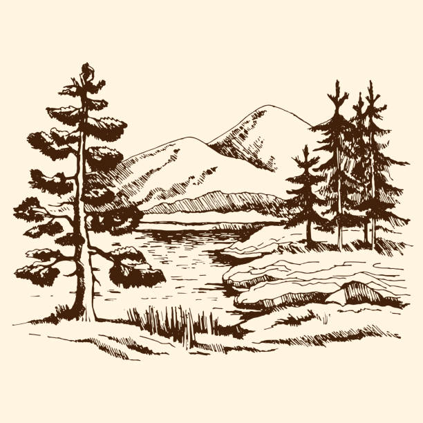 Landscape sketch Canada Hand drawn landscape vector sketch. Pine near the lake in the foreground. at the back of the fir trees against the background of the mountains. mountain drawings stock illustrations