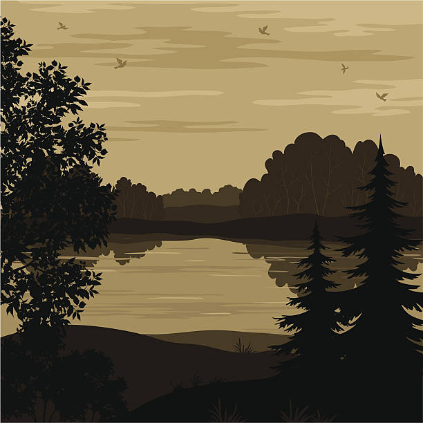Landscape, trees and river silhouette Evening landscape, trees, river and birds silhouette. Vector river silhouettes stock illustrations