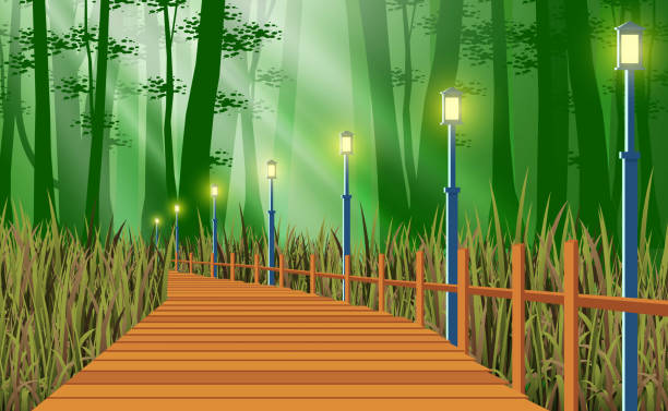 landscape landscape of wooden bridge at meadow in forest nature path stock illustrations