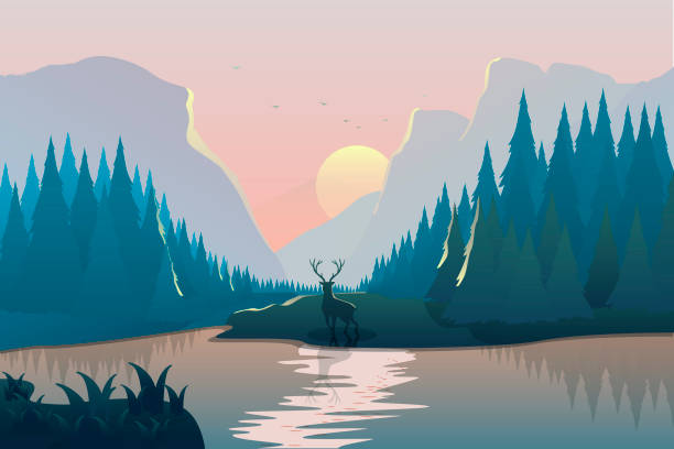 illustrazioni stock, clip art, cartoni animati e icone di tendenza di illustrazione vettoriale del paesaggio con cervi, fiume, foresta di abeti rossi e montagne al tramonto - finlandia laghi