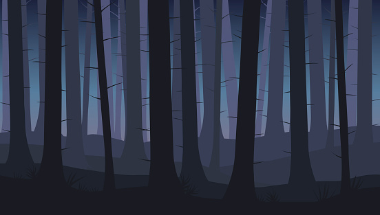 Landscape with silhouettes of blue trees in dark night forest - vector illustration