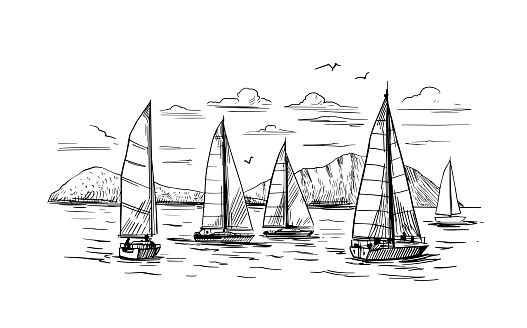 Landscape with yachts and the sea. Outline vector illustration. Yachting . Black on transparent backgroun
