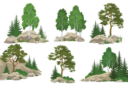 Set Landscapes, Coniferous and Deciduous Trees, Pine, Fir Tree, Birch, Flowers and Grass on the Rocks, Isolated on White Background. Vector
