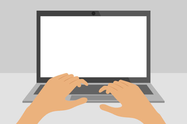 ilustraciones, imágenes clip art, dibujos animados e iconos de stock de portátil con pantalla en blanco y manos en el teclado - typing on laptop