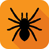 istock Large Black Spider icon 1060289950