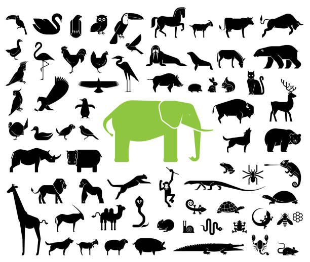 ilustrações de stock, clip art, desenhos animados e ícones de large collection of geometrically stylized land animal icons. - animal