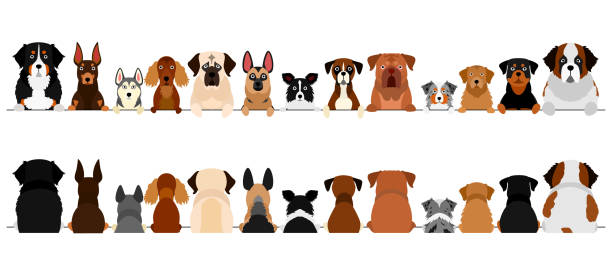 large dogs border set, upper body, front and back large dogs border set, upper body, front and back dog borders stock illustrations