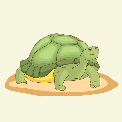 Large land turtle. Vector illustration.