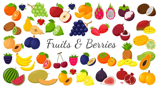 A large set of tropical, exotic, citrus fruits. Fruit and berry icons. Whole fruit, half cut and slices. Huge collection.Flat. Color vector illustration. Design elements isolated on white. A large set of tropical, exotic, citrus fruits. Fruit and berry icons. Whole fruit, half cut and slices. Huge collection.Flat. Color vector illustration. Design elements isolated on white strawberry cartoon stock illustrations