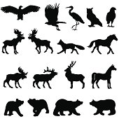 A silhouette collection of many large animals and birds that can be found in the forests and woods. These include an owl, heron, eagle, fox, moose, horse, deer, and bears.