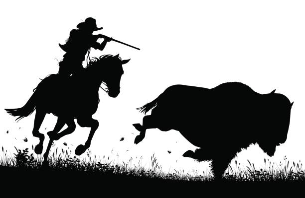 Last bison Editable vector silhouette of a cowboy on horseback chasing and about to shoot an American buffalo buffalo shooting stock illustrations