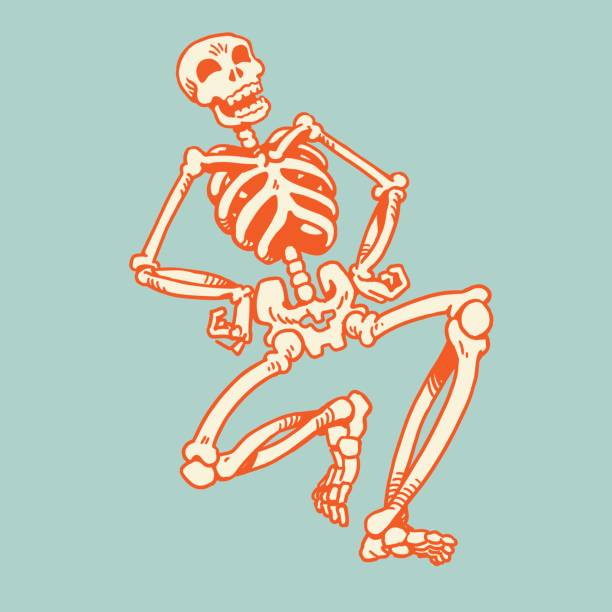 lachen skelett - menschliches skelett stock-grafiken, -clipart, -cartoons und -symbole