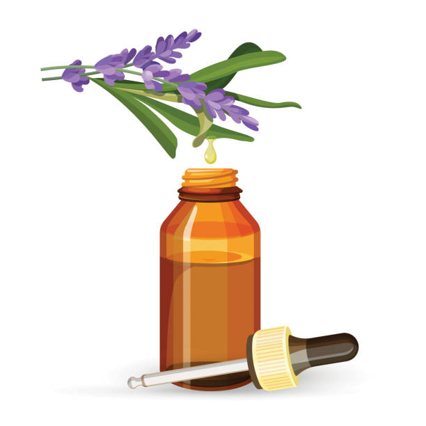 stockillustraties, clipart, cartoons en iconen met lavendel olie in glazen flesje met pipet-extract - essential oils smell