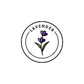 Lavender Logo Lavender in trendy linear style. Vector herbal organic lavender Icon of packaging design template and emblem. Can be used for oil, soap, cream, perfume, tea and other things
