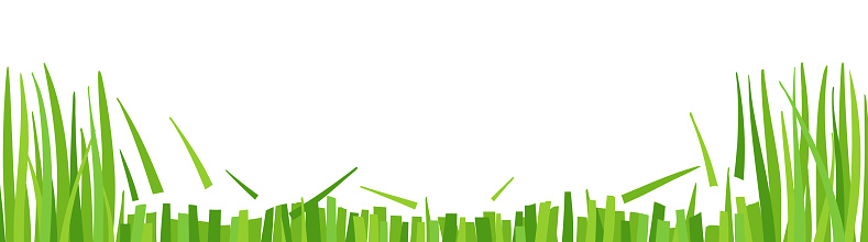 Lawn mowing. Green grass cut. Horizontal banner background. Copy space. Vector illustration.
