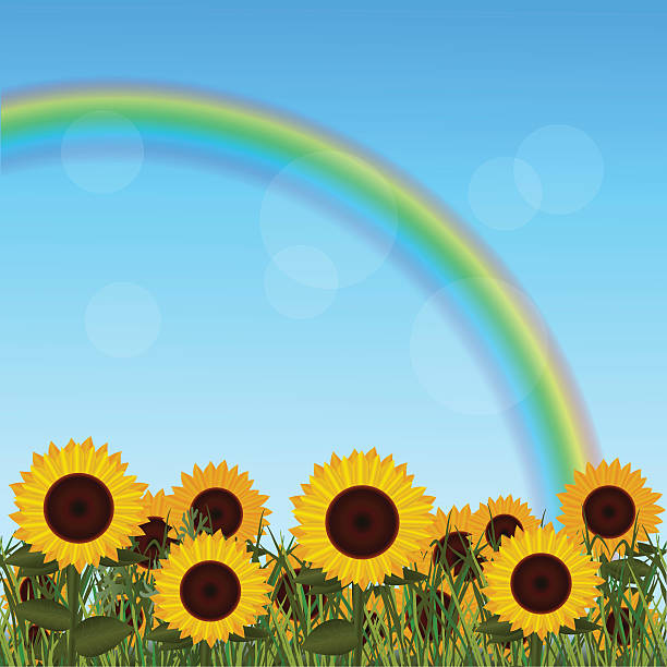 Free SVG Rainbow Sunflower Svg 9747+ Best Quality File
