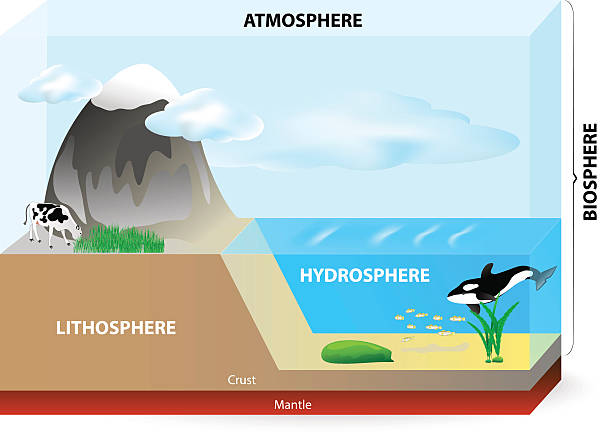 Layers of earth diagram A graphic illustration that demonstrates the different areas that make up the planet Earth.  At the bottom left of the image is the lithosphere.  It is colored tan and labeled "Lithosphere" and "Crust" with white lettering.  The image's bottom right contains the hydrosphere.  It is pictured as blue water.  The atmosphere is at the top labeled with black letters.  It consists of a light blue sky.  A cow eats grass on top of the lithosphere next to a black and gray mountain capped with white snow.  Blue and white clouds float past, and fish swim in the water. biosphere 2 stock illustrations