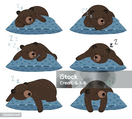 istock Lazy bear sleep. Sleeping cute teddy character poses on pillow, quiet winter rest, fat animal laziness vector illustration, cartoon comic funny bears dreams isolated on white background 1350654401
