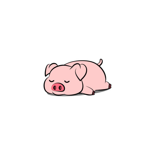 豚 寝る イラスト素材