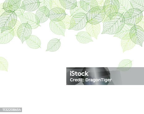 istock Leaf background material 1132208654