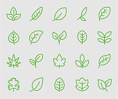 Leaf green line icon