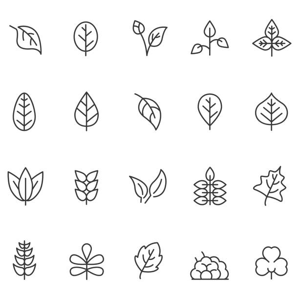Leaf icon set Leaf icon set autumn icons stock illustrations