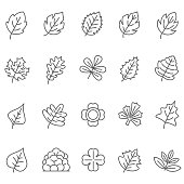 istock leaf icons set 695151394