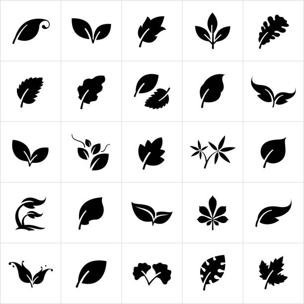 Leaf Icons A set of stylized leaves. The leaves range from common to whimsical. nature symbols stock illustrations